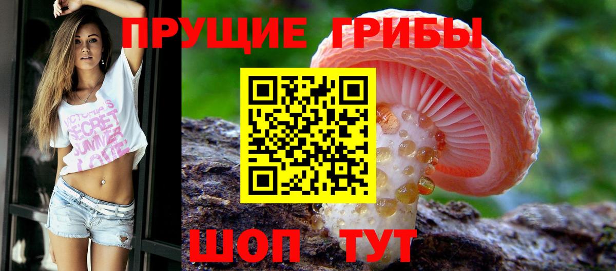 Галлюциногенные грибы ЛСД Люберцы
