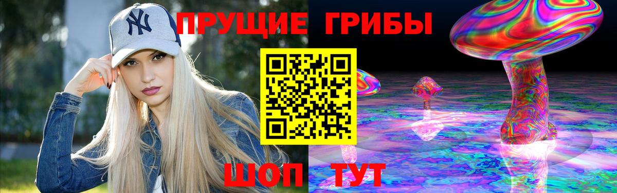 Люберцы  купить наркоту  Вход с VPN  Псилоцибиновые грибы Psilocybe 